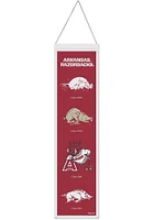 Arkansas Razorbacks 8x32 Evolution Banner - Red