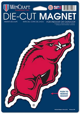 Arkansas Razorbacks 6.5x9 Magnet