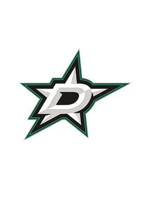 Dallas Stars Souvenir Logo Pin - Green