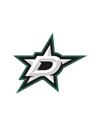 Dallas Stars Souvenir Logo Pin - Green