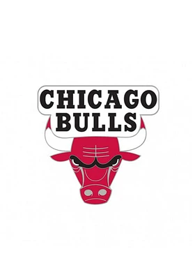 Chicago Bulls Souvenir Team Logo Pin - Red