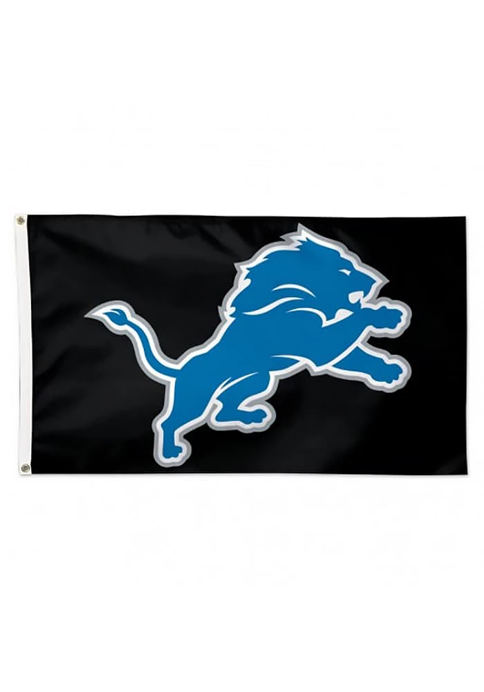 Detroit Lions 3x5 ft Logo Silk Screen Grommet Flag - Black