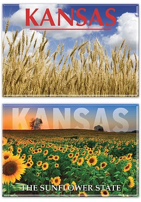 Kansas 2X3 2PK Magnet