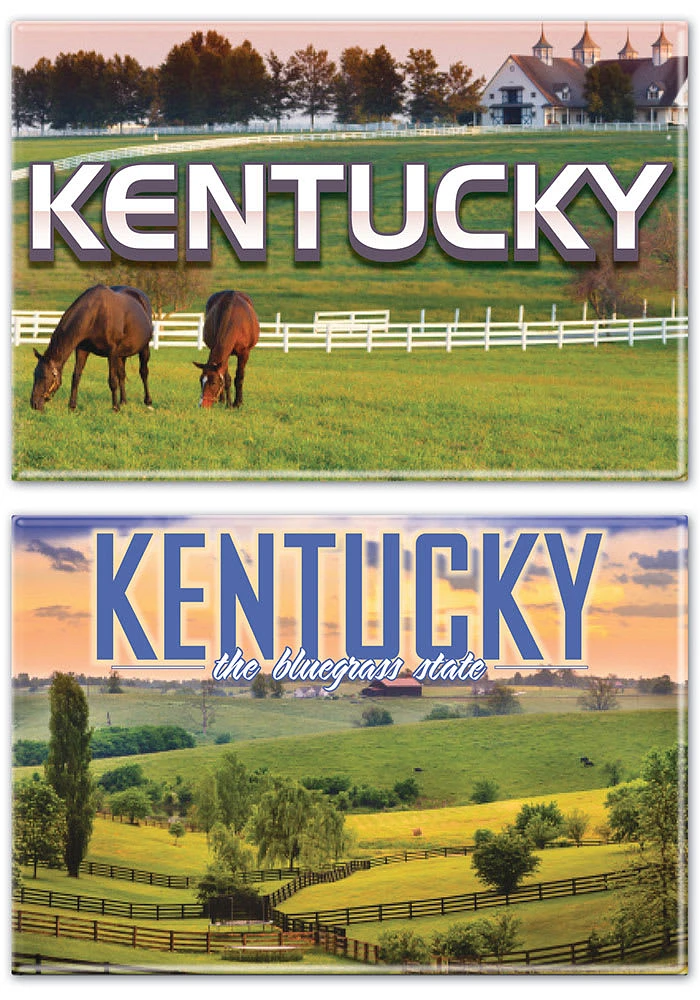 Kentucky 2X3 2PK Magnet
