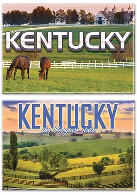 Kentucky 2X3 2PK Magnet