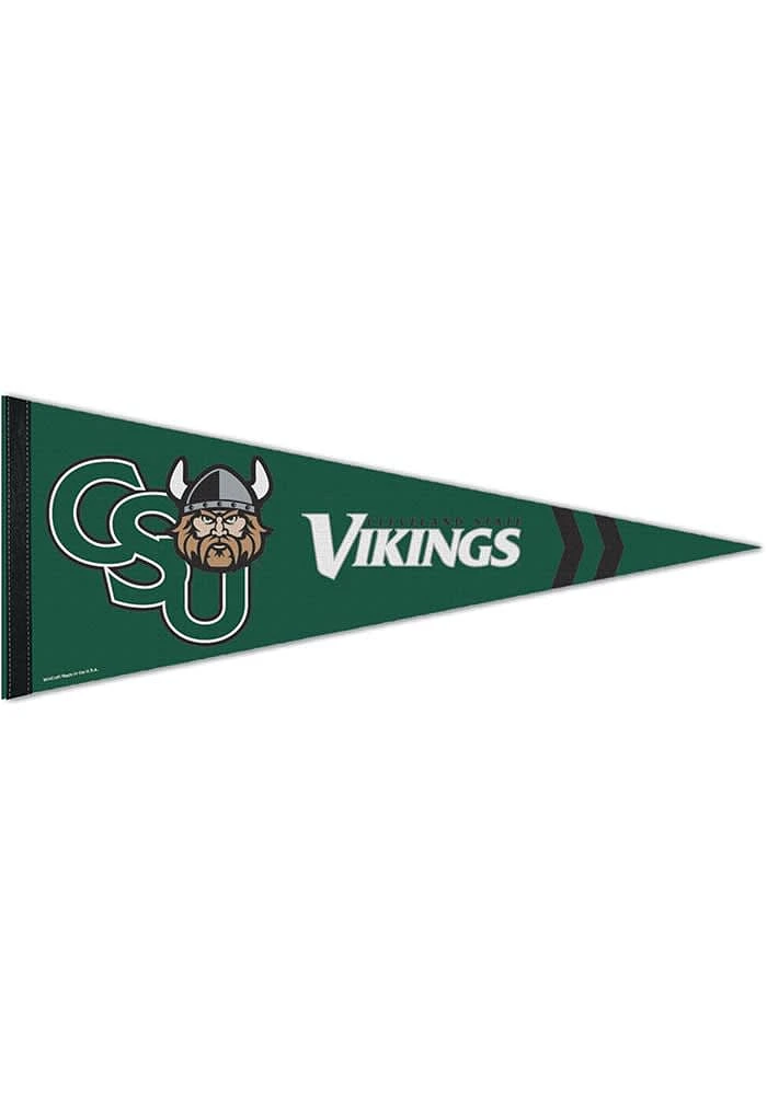 Cleveland State Vikings 12X30 Premuim Pennant - Green