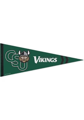 Cleveland State Vikings 12X30 Premuim Pennant - Green