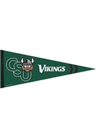 Cleveland State Vikings 12X30 Premuim Pennant - Green