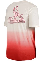 New Era St Louis Cardinals Red Throwback Ombre Short Sleeve Fashion T Shirt