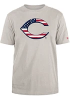 New Era Cincinnati Reds Grey American Primary Logo Short Sleeve T Shirt