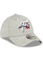 New Era Reading Fightin Phils Mens Grey Distinct 39THIRTY Flex Hat
