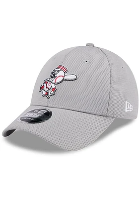 New Era Cincinnati Reds Evergreen GRA Stretch 9FORTY Adjustable Hat - Grey