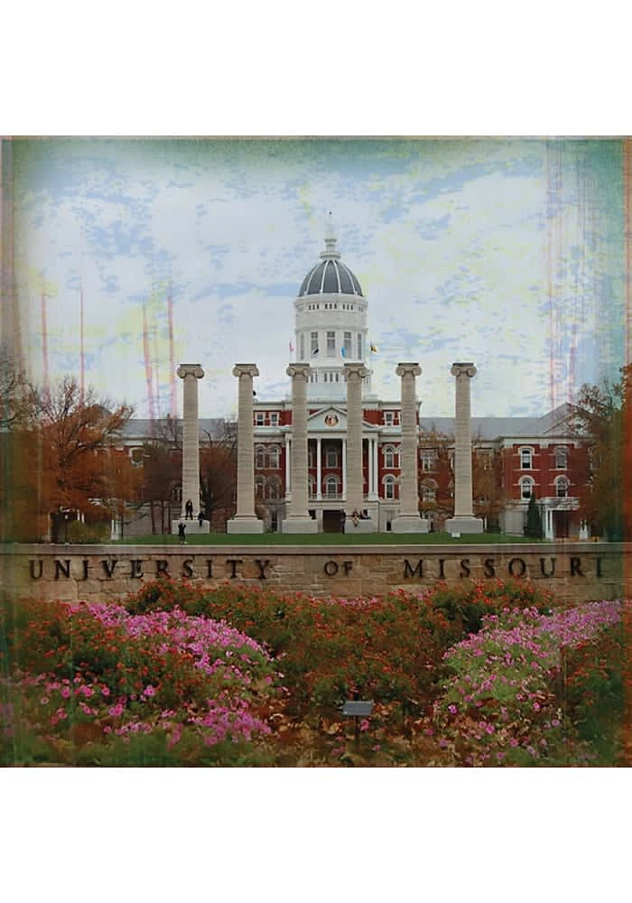 Missouri Tigers Jesse Hall Stone Tile Coaster - White