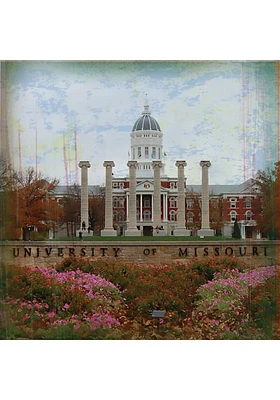 Missouri Tigers Jesse Hall Stone Tile Coaster - White