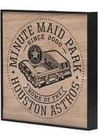 Houston Astros Stadium Framed Wood Wall Wall Art