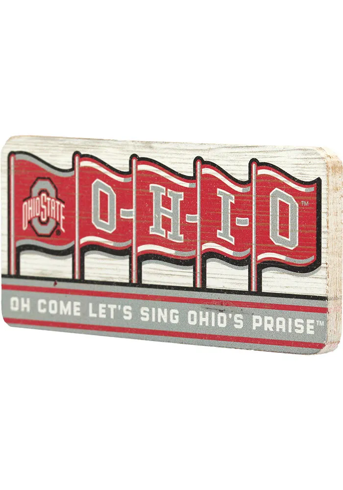 Ohio State Buckeyes Flag Magnet