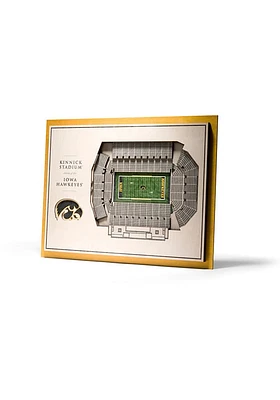 Iowa Hawkeyes 5-Layer 3D Stadium View Wall Art