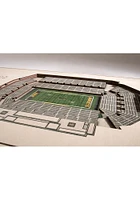 Iowa Hawkeyes 5-Layer 3D Stadium View Wall Art
