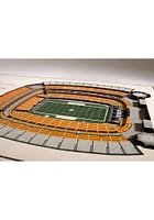 Pittsburgh Steelers 5-Layer 3D Stadium View Wall Art - Tan