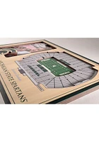Michigan State Spartans Stadium View 4x6 Picture Frame - Brown