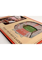 Texas Tech Red Raiders Stadium View 4x6 Picture Frame - Brown