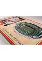 Cincinnati Bengals Stadium View 4x6 Picture Frame