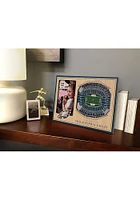 Philadelphia Eagles Stadium View 4x6 Picture Frame - Brown