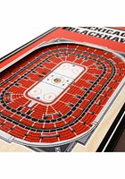 Chicago Blackhawks 6x19 inch 3D Stadium Sign