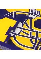 Michigan Wolverines 3D Coaster