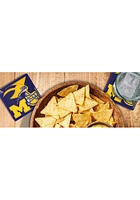 Michigan Wolverines 3D Coaster