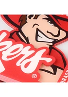 Nebraska Cornhuskers 3D Coaster