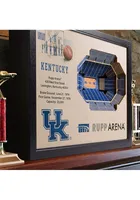 Kentucky Wildcats 3D Stadium View Wall Art