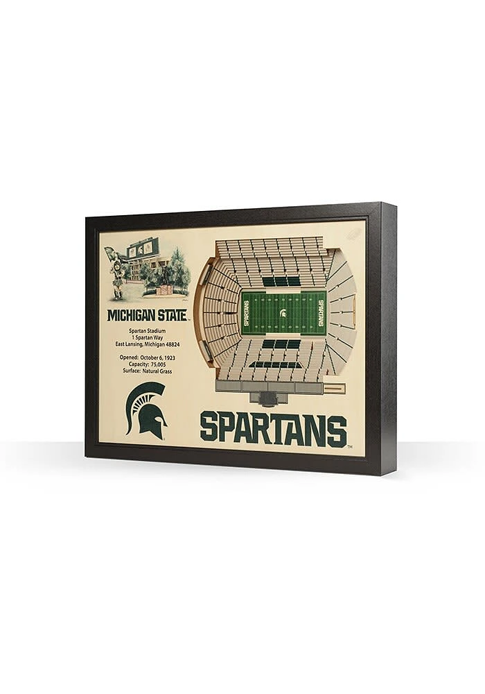 Michigan State Spartans 3D Stadium View Wall Art - Green