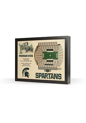Michigan State Spartans 3D Stadium View Wall Art - Green
