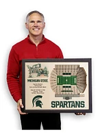 Michigan State Spartans 3D Stadium View Wall Art - Green