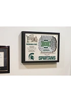 Michigan State Spartans 3D Stadium View Wall Art - Green