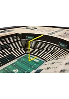 Michigan State Spartans 3D Stadium View Wall Art - Green