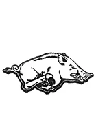 Arkansas Razorbacks Logo Chrome Car Emblem - Silver