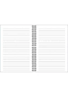Pittsburgh Steelers Spiral Notebooks and Folders