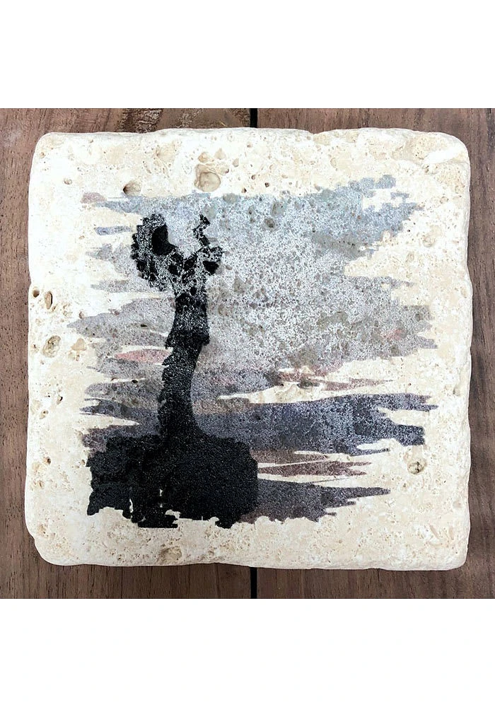 Wichita Keeper of the Plains 4x4 Coaster - Grey
