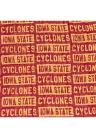Iowa State Cyclones Block Infinity Womens Scarf