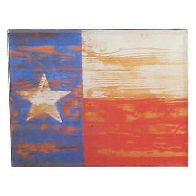Texas Medium Magnet