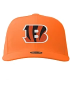 Cincinnati Bengals Noggin Boss Mascot Head