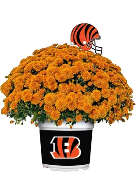 Cincinnati Bengals Plastic Other Home Decor