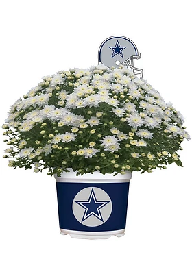 Dallas Cowboys Plastic Other Home Decor