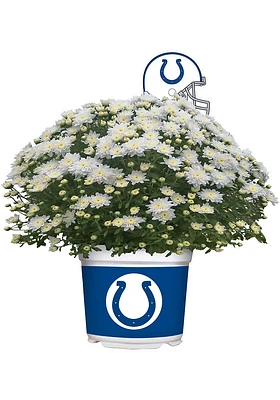 Indianapolis Colts Plastic Other Home Decor
