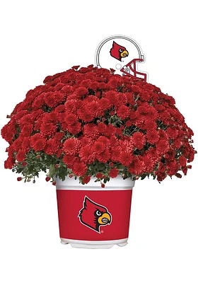 Louisville Cardinals Plastic Other Home Decor