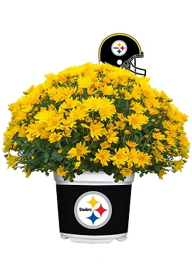 Pittsburgh Steelers Plastic Other Home Decor