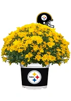Pittsburgh Steelers Plastic Other Home Decor