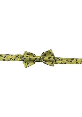 Kentucky southern inspired designs Pet Collar